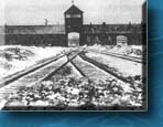 Llegada al campo de concentración y exterminio en Auschwitz